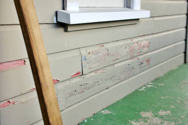 Best Hoarding Cleanup  in USA